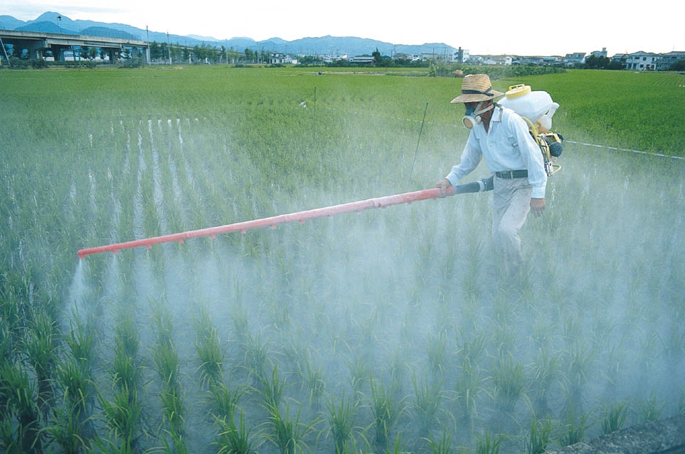Image result for photo of pesticides